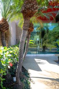 Vallarta Live Hotel