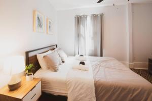 Starland District Gem Work Remotely Dogs OK!