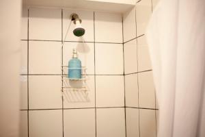 Coyote Lofts-Estacion Federal