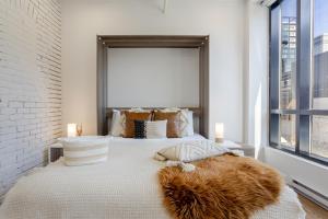 Apartment MTL Dtown Spotlight MTL