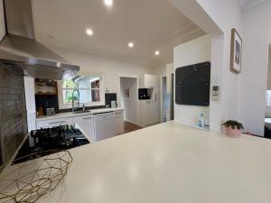 Dusky Whaler - Pet Friendly