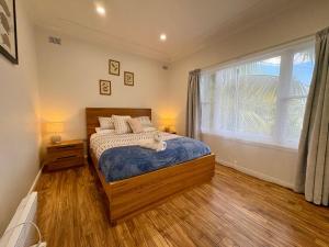 Dusky Whaler - Pet Friendly