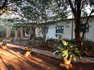 Kalahari Sand Ridge Inn - Quiet Self-catering Eco Lodge Near Victoria Falls, Livingstone