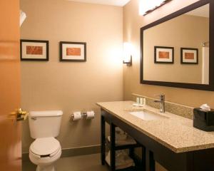 Comfort Suites Benton Harbor - St Joseph