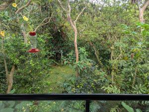 Mindo Botanico