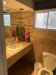 Departamento San Carlos, Sonora, México