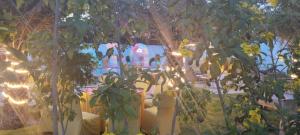 Aroma Green Farm Manesar with Pool