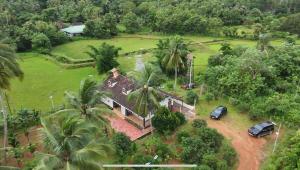 Farm stay at Palakkad outskirts