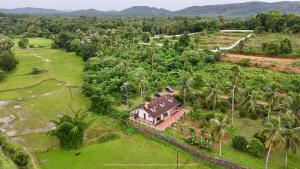 Farm stay at Palakkad outskirts