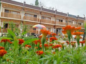 Apricus hotel