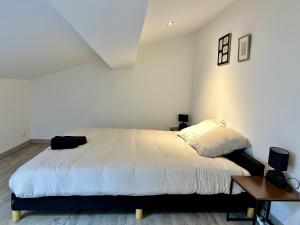 Appartements Le Green rooming loft - Bergerac Centre : photos des chambres