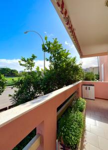 NURAS - Casa Michelle img26