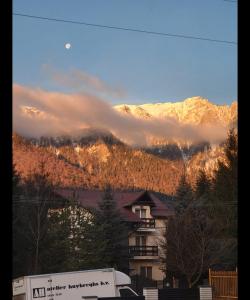 Diamond Resort Busteni