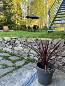 Apartment Lipno Hůrka