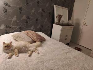 Cozy Forest Retreat in Kuopio - Perfect for Families Work Trips