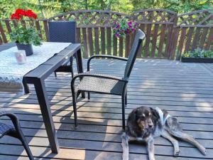 Cozy Forest Retreat in Kuopio - Perfect for Families Work Trips