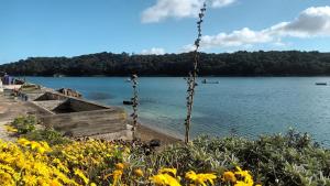 Maisons de vacances Penty des roitelets : photos des chambres