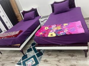 Large 2 Bedrooms 4 beds full apartment suitable for Families in Fayoum Dalah