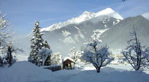 Ferienwohnung "Falkenstein"