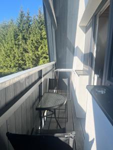 Apartment Lipno Hůrka