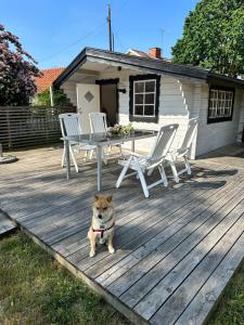 Mysig stuga i lugnt villaområde med eget badrum och kök i huvudbyggnadens källare