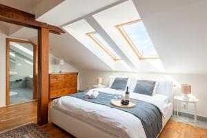 Apartment with terrace in Prague Center