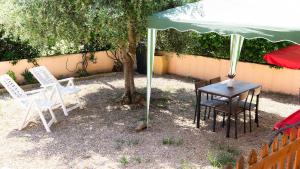 Ulivo al mare, Olbia, Murta Maria