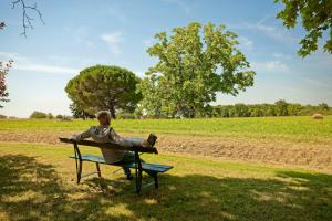 Renovated Dovecote Near The City Of Albi