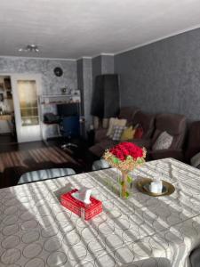 Cosy appartment near city center