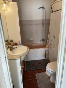 Cosy appartment near city center