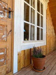 Nomadic Homes holiday home with sauna