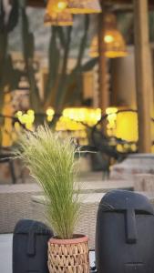 LA Casa Di Lusso N3 - Adults Only