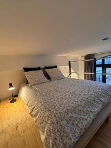 Appartements Brooklyn Loft - centre parking prive : photos des chambres