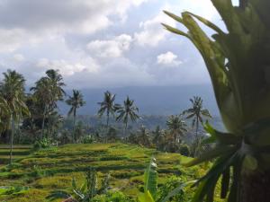Mayong Harmony Villa