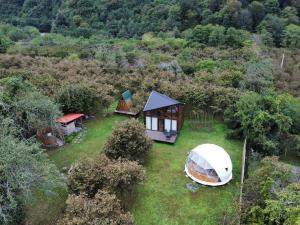 Dumbo Eco Camp