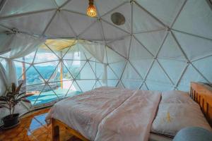 ไร่ดอยช้าง ม่อนเเจ่ม