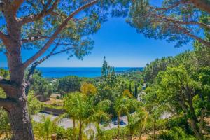 Azuréenne de la Nartelle