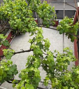 Affittacamere Casa Mia