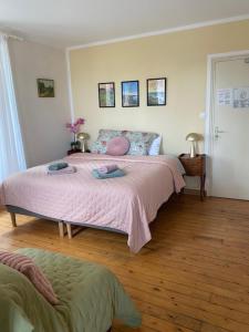 B&B / Chambres d'hotes VILLA LA VISTULE : photos des chambres