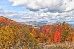 New Cozy Private Chalet Incredible Mountain Views!