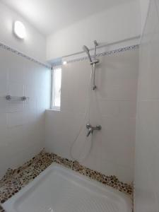 Ave Ibis eremita Vejer