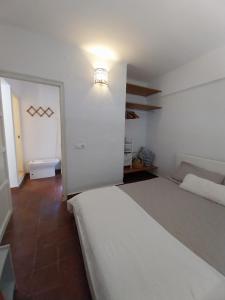 Ave Ibis eremita Vejer