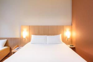 Hotels ibis Bayonne Centre : Chambre Standard avec 1 Lit Double et 1 Lit Simple