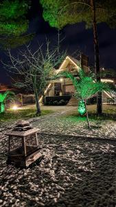 Shore of Sapanca Lake Çatı Villa Lakehouse