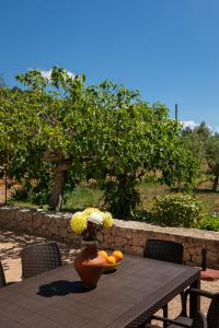 Green & Blue Villas - Villa Can Cova Camp