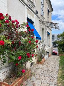Appartements F2 LA PAUSE EBROICIENNE PROXIMITE GARE : Appartement 1 Chambre