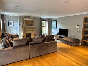 Bright, Tranquil, City Apartment