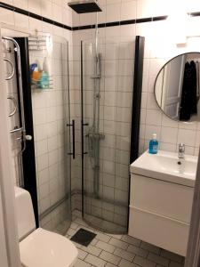 Apartment in So-Fo at Södermalm 24sqm