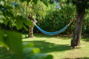 Laminerve Pramousquier