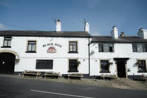 Black Dog Inn